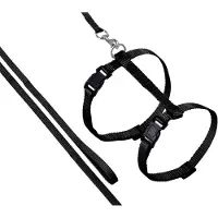 Flamingo Asp Harnais Chat+Laisse Noir 110cm