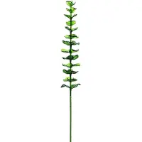 Europalms Eucalyptus en cristal, plante artificielle, vert, 81cm 12x (81 cm)
