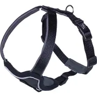Nobby Harnais confort Classic Preno (L, Chien, Général)