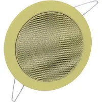 Omnitronic CS-4 (1 pièce), Enceinte encastrable, Or