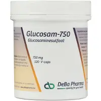 Deba Glucosam 750 mg 120 pc(s) Capsule(S)