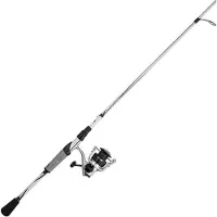 Abu Garcia Revo X Spinning Silver Fishing Combo Multicolore 2.40 m / 10-30 g