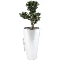 Europalms LEICHTSIN ELEGANCE-69, argenté, brillant