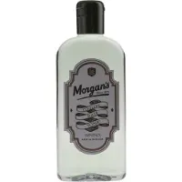 Morgan's Cooling Tonic lotion tonique cheveux 250 ml