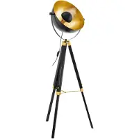Eglo Lampadaire COVALEDA noir et laiton 49618