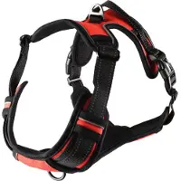 Flamingo Harnais Pour Chien Balou