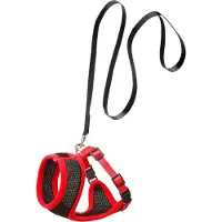 Flamingo Harms Set Harnais Chat No/Rg 110cm10mm