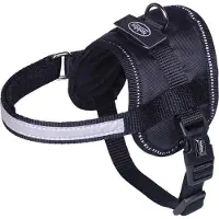 Nobby Vaisselle Seguro Mini (S, Chien, Promenade)