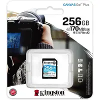Kingston Technology Canvas Go! Plus SD Classe 10