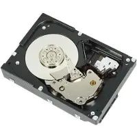 Dell - Disque dur - 1 To - interne - 3,5" (8,9 cm) - SATA 6Gb/s - 7200 tr/min - pour PowerEdge T130 (3,5"), T30 (3,5"), T330 (3,5"), T430 (3,5")