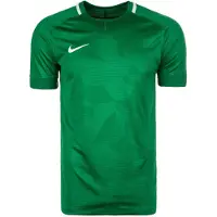Nike M NK DRY CHALNG II JSY SS | VERT PINE/BLANC/VERT PINE/BLANC | Größe : S