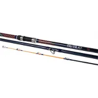 X2 WaveWalker Surf 4.20m 100-225g 3sect.