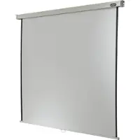 Celexon Écran enroulable Professional Plus (111", 1:1), Écran de projection, Blanc