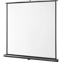 Celexon Ultramobil Professional, écran (66.93", 1:1), Écran de projection, Noir