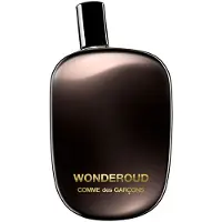 Comme des Garcons Wonderoud Vaporizer 100ml Eau De Parfum Noir Homme