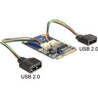 DeLOCK Module MiniPCIe I/O pleine taille 2 x USB 2.0 Type A femelle -