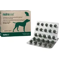 Nutravet Nutracoat 45 gélules pour une peau et un pelage sains chez les chiens et les chats