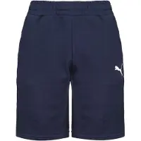 Puma Pantalon de sport 'Team Goal 23' bleu marine / blanc