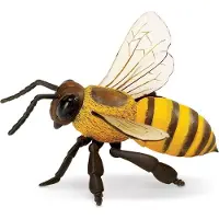 Safari Figurine d'abeille Ltd. - Mod le r aliste de 14 cm - Jouet ducatif pour gar ons, filles et enfants de 3 ans et plus