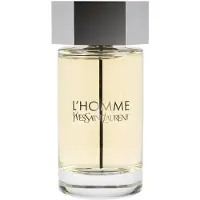 Yves Saint Laurent YSL L'Homme Edt Spray