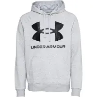 Under Armour Rival Big Logo Hoodie Gris XL / Regular Homme