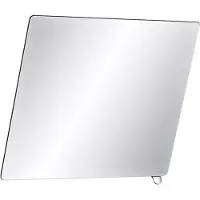 Delabie Miroir basculant 600x500 mm, poignée polie brillante