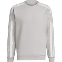 Adidas Squadra 21 Sweatshirt Gris M / Regular Homme