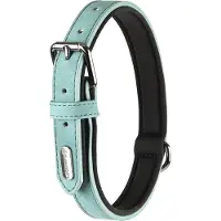 Flamingo Delu Halsband mit Neoprenpolsterung grün M/L (L, M, Chien)