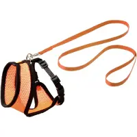 Flamingo Harnais et laisse pour chatons Nuisibles (S, Chat, Promenade)
