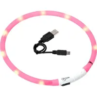 Karlie Collier De Chien Led