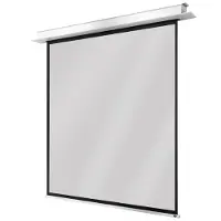 Celexon Electric Professional Plus Ceiling Recessed - Ecran de projection - montage au plafond possible - (88.98", 1:1), Écran de projection, Blanc