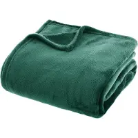 Zesso Eazy Living couverture douillette en flanelle 180 cm x 230 cm vert
