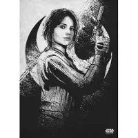 Sans marque Rogue One Morality - Magnetic Metal Poster 45x32 - Jyn