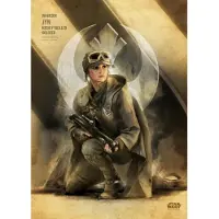 Sans marque Rogue One Key Forces - Magnetic Metal Poster 45x32 - Jyn