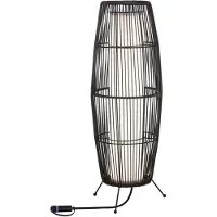 Paulmann Plug & Shine Objet lumineux LED Basket Luminaire individuel