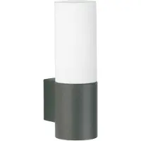 Albert Applique ronde Cyl anthracite