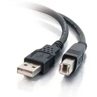C2G 81565 câble USB USB 2.0 USB A USB B
