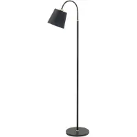 Highlight Lampadaire design Texas noir