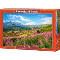 Castorland Puzzle 1000 pièces Hala Gasienicowa, Tatras, Pologne 104512