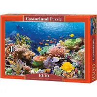 Castorland Coral Reef Fishes Puzzle 1000 Teile C-101511-2