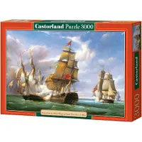 Castorland Copie du "Combat "21 avril 1806 PJ Gi Puz C-300037-2