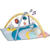 Taf Toys Tapis Avec Arches Mini Lunes