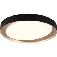 TRIO Plafonnier noir Zeta Ø 48cm