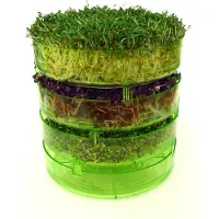 GEO Plus Germoir sans BPA Brun 20,5 x 20,5 x 23 cm