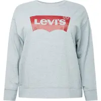 Levi's Sweat-shirt 'PL Graphic Standard Crew'