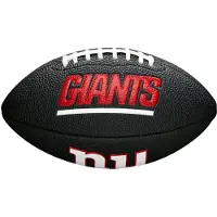 Wilson NFL Team Soft Touch Mini