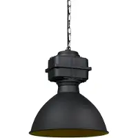 QAZQA Suspension industrielle intelligente noire avec A60 WiFi 38,5 cm - Sicko