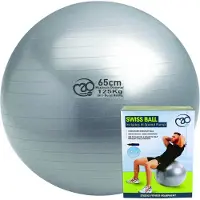 Fitness-Mad Anti-burst Fitball Argenté 65 cm