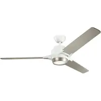 Elstead Lighting Zeus ventilateur de plafond silencieux avec lumière LED Ø152cm bois + télécommande argent, blanc, Ventilateur, Blanc