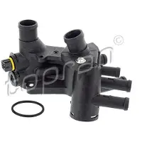 Topran Thermostat d'eau 109 067